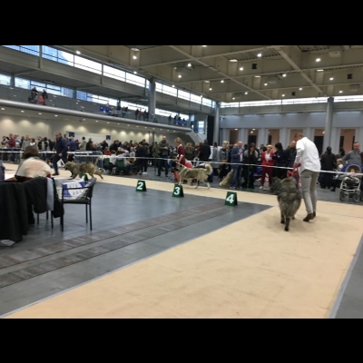 IDS POZNAŃ'18 - BAGIRA